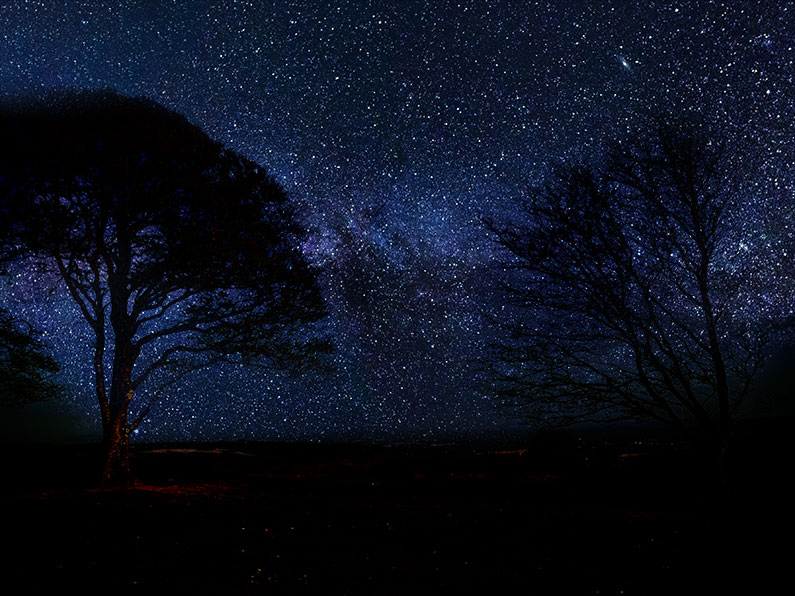 Exmoor Dark Skies