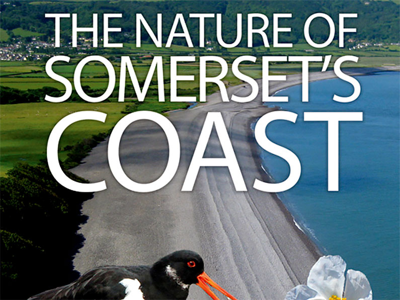 The Nature of Somersets Coast - Nigel Phillips