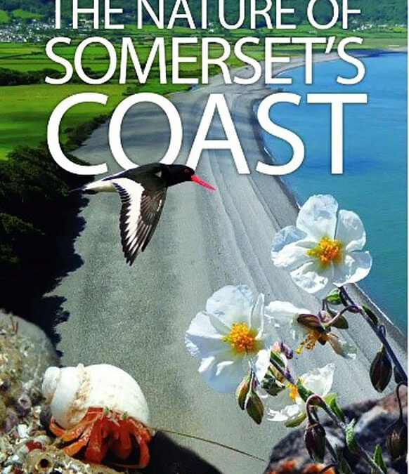 Book Launch “The Nature of Somerset’s Coast”  by Nigel Phillips