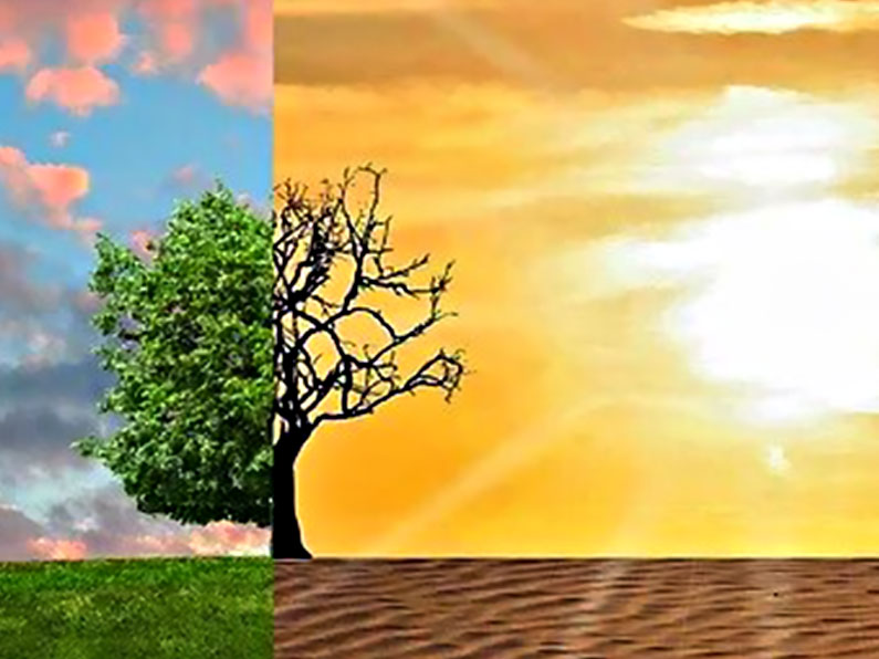 Climate Change Part 2 by Terry Abbiss for The Thomas Poole Library