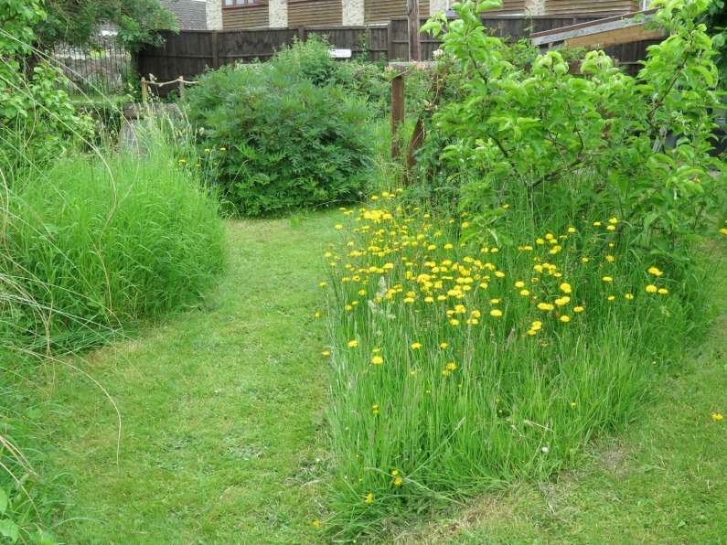 Nature of the Quantocks