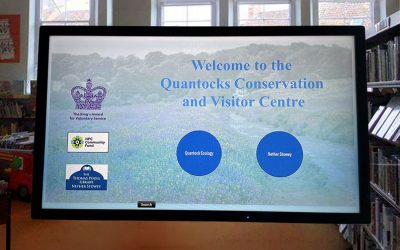 Interactive Kiosk