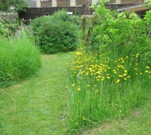 Nature of the Quantocks