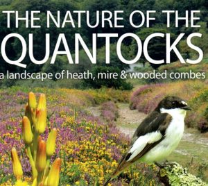 The Nature of the Quantocks by Nigel Phillips